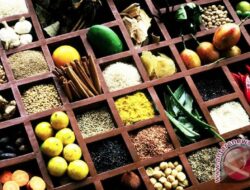 Riset Baru Mengungkap Potensi Obat Tradisional Indonesia sebagai Terapi Alternatif untuk Penyakit Kronis