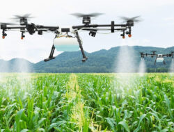 Penggunaan Teknologi Machine Learning dalam Industri Pertanian Meningkatkan Efisiensi Produksi dan Kualitas Hasil Panen
