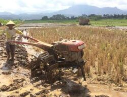 DTPHP Provinsi Bengkulu Akan Mengusahakan Bantuan Bibit Untuk Para Petani Di Lebong
