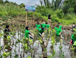 Aktivitas Kader LH Penanaman Mangrove Dapat  Apresiasi Dari DPRD Provinsi Bengkulu Tahun 2024