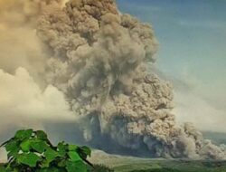 Gunung Semeru Meletus Sebanyak 5 kali, ketinggian Letusan Hingga 900 Meter