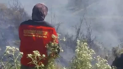 Salah satu relawan Masyarakat Peduli Api (MPA) pada saat mengamati area terdampak kebakaran di kawasan Taman Nasional Bromo Tengger Semeru, di wilayah Kabupaten Pasuruan, Jawa Timur, Kamis (20/6/2024)