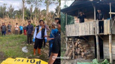 Seorang pria bernama Wandra Hafis (44) ditemukan tewas di sebuah pondok kebun di Kelurahan Talang Rimbo, Kamis pagi, 20 Juni 2024. Artikel ini telah tayang di Tribunbengkulu.com dengan judul Heboh Istri Habisi Suami di Rejang Lebong Bengkulu, Kini Polisi Cek Kejiwaan Pelaku, https://bengkulu.tribunnews.com/2024/06/20/heboh-istri-bunuh-suami-di-rejang-lebong-bengkulu-dibacok-berkali-kali-hingga-tewas-bersimbah-darah. Penulis: M Rizki Wahyudi | Editor: Ricky Jenihansen