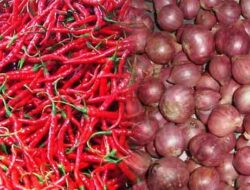 Harga Cabai Merah dan Bawang Merah Semakin Mengejutkan Masyarakat