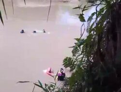 Warga Bentiring Ramai-ramai Memeriakan Tradisi Tahunan dengan Mencari Lokan