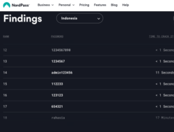 Terkuap Kebocoran Pusat Data Nasional Pada Akses Server PDN