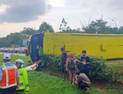 Bus Blue Star Kecelakaan di Tol Cipali Membawah Dosen Unpam Satu Diantaranya Meninggal Dunia