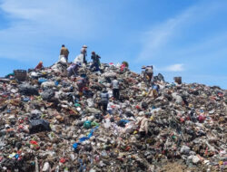 Pengusulan DLH Bengkulu Kepada Pemkot dalam Mengkoordinir Sampah