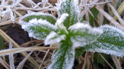 Fenomena embun es di dieng