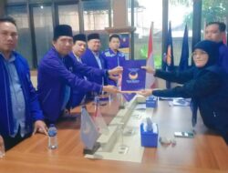 Pilgub NasDem Tegaskan Belum ke Balon Helmi-Mian Tunggu Keputusan DPP