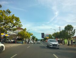 Panas Berlebih BMKG Prediksi Bengkulu Potensi Kebakaran Hutan