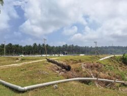 Pemerintah Diminta Tidak Tegas Tambak Udang di Bengkulu jadi Masalah Serius