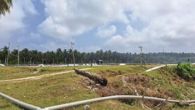 Tambak udang di Kabupaten Kair, Bengkulu