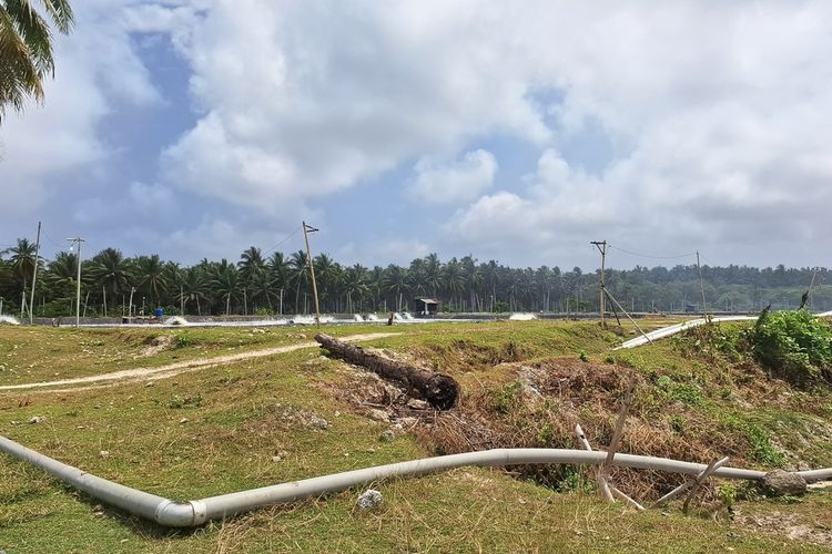 Tambak udang di Kabupaten Kair, Bengkulu