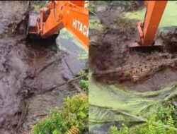 Excavator Keruk Parit dan Buaya di Sambas, Kalimantan Barat Viral di Sosmed