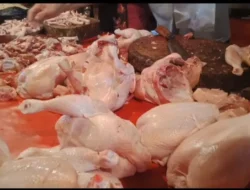 Daging Ayam Potong di Bengkulu Selatan Melonjak Hingga Rp 45 Ribu per Kg