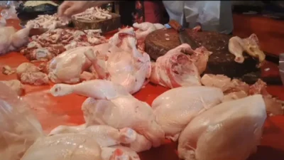 Harga ayam potong melonjak