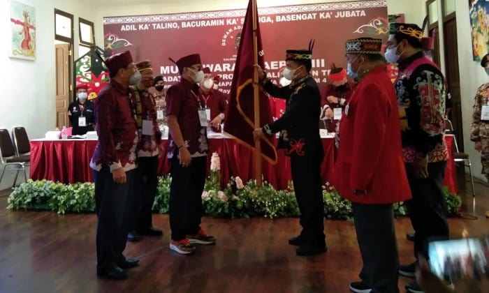 dayak (foto: canalberita.com)