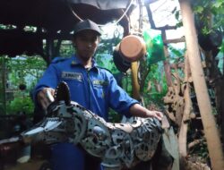 “Livina Menjadi Seonggok Besi Rongsokan, Berawal dari Bau Aneh yang Tercium oleh Sopir”