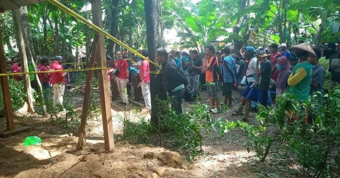 Mayat Yatmini di kandang sapi belakang rumah Kadianto