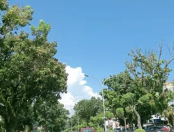 Pemkot Bengkulu Alokasikan APBD 2025 Rp 5 Miliar untuk Pemasangan Lampu Jalan