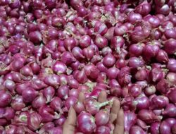 Kenaikan Harga Pangan dari Cabai Rawit Hingga Bawang Merah