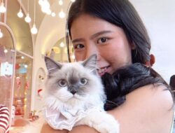 Vicky Veronica, Pengusaha Muda Inspiratif yang Jadi Panutan Anak Muda