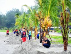 Pantai Panjang Bersolek, 10 Ribu Pohon Kelapa Mulai Tumbuh dari Gerakan GEMPALA