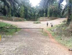 Buka Lahan Perkebunan di Kawasan Hutan: Rakyat Ditindak, Perusahaan Dibiarkan