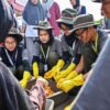 Lewat GreenBus 2026, Pertamina Dorong Generasi Muda Jadi Agen Peduli Lingkungan
