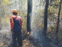 BNPB Catat Karhutla di Berbagai Daerah, Ratusan Hektare Lahan Terbakar