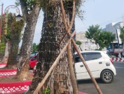Tanggapan DLH, Pohon Mati di Kawasan Belungguk Point Ditanam Kembali